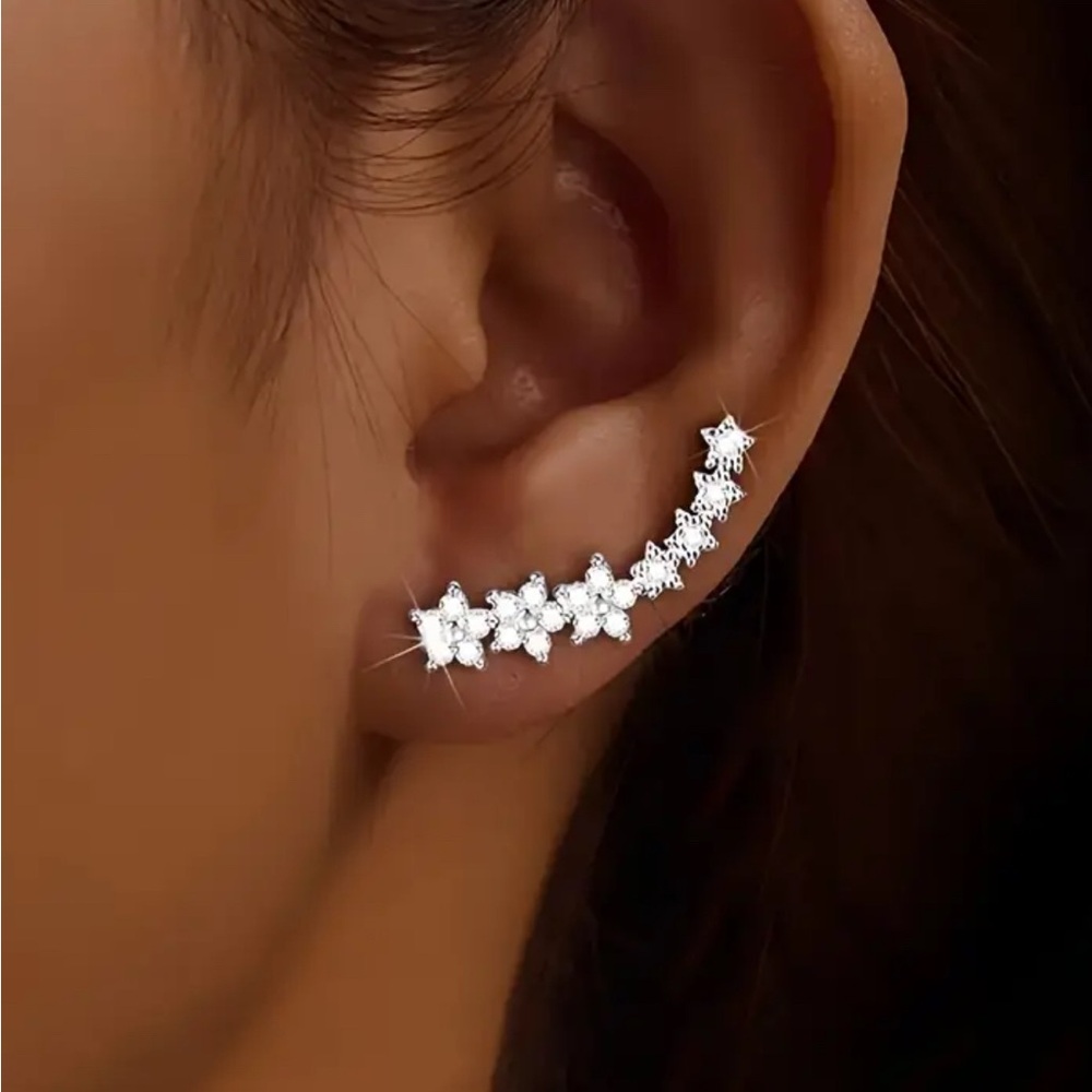 Elegant Silver Crystal Earrings